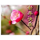 ֹ,½󷨵ӹףʦ(33)
