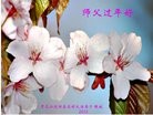 Published on 1/30/2014 ֹ,½󷨵ӹףʦ(29)
