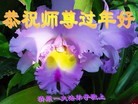 Published on 1/30/2014 ֹ,½󷨵ӹףʦ(29)
