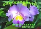 Published on 1/30/2014 ֹ,½󷨵ӹףʦ(29)
