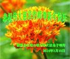 Published on 1/30/2014 ֹ,½󷨵ӹףʦ(29)
