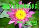 Published on 1/30/2014 ֹ,½󷨵ӹףʦ(29)
