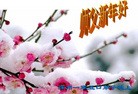 Published on 1/30/2014 ֹ,½󷨵ӹףʦ(29)
