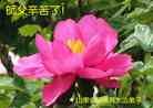 Published on 9/27/2015 ֹ,½󷨵ӹףʦ(27)
