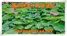 Published on 9/27/2015 ֹ,½󷨵ӹףʦ(27)
