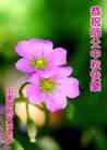 Published on 9/27/2015 ֹ,½󷨵ӹףʦ(27)
