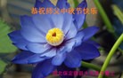 Published on 9/25/2015 ֹ,󷨵ӹףʦ(23)
