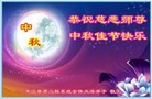 Published on 9/26/2015 ֹ,ҵ󷨵ӹףʦ(27)

