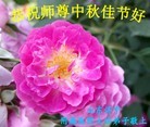 Published on 9/26/2015 ֹ,ҵ󷨵ӹףʦ(27)
