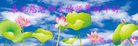 Published on 12/29/2017 ֹ,󷨵ӹףʦ(25)