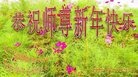 Published on 12/29/2017 ֹ,󷨵ӹףʦ(25)