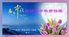 ֹ,ɶ󷨵ӹףʦ(24)
