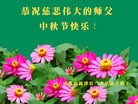 ֹ,ɶ󷨵ӹףʦ(24)
