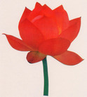 Published on 12/30/2005 ½󷨵ӹףȱΰʦãͼ