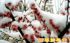 Published on 12/30/2005 ½󷨵ӹףȱΰʦãͼ