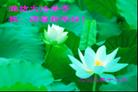 Published on 12/30/2005 ½󷨵ӹףȱΰʦãͼ
