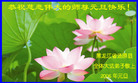 Published on 12/30/2005 ½󷨵ӹףȱΰʦãͼ