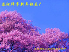 Published on 12/30/2005 ½󷨵ӹףȱΰʦãͼ