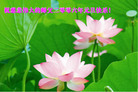 Published on 12/30/2005 ½󷨵ӹףȱΰʦãͼ