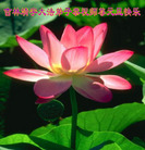 Published on 12/30/2005 ½󷨵ӹףȱΰʦãͼ