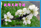Published on 12/30/2005 ½󷨵ӹףȱΰʦãͼ