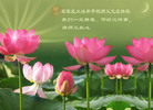 Published on 12/31/2005 ½󷨵ӹףȱΰʦãͼ