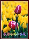 Published on 12/31/2005 ½󷨵ӹףȱΰʦãͼ