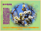 Published on 12/31/2005 ½󷨵ӹףȱΰʦãͼ
