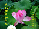Published on 12/31/2005 ½󷨵ӹףȱΰʦãͼ