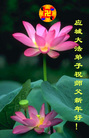 Published on 12/31/2005 ½󷨵ӹףȱΰʦãͼ