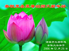 Published on 12/31/2005 ½󷨵ӹףȱΰʦãͼ