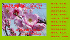Published on 1/1/2006 ½ϱ󷨵ӹףȱΰʦã
