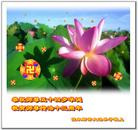 Published on 5/15/2005 		½󷨵ӹʦ𻪵߷ִ󷨺鴫ʮ(5)
