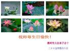 Published on 5/15/2005 		½󷨵ӹʦ𻪵߷ִ󷨺鴫ʮ(5)
