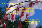Published on 5/15/2005 		½󷨵ӹʦ𻪵߷ִ󷨺鴫ʮ(5)

