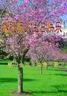 Published on 5/15/2005 		½󷨵ӹʦ𻪵߷ִ󷨺鴫ʮ(5)
