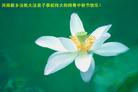 Published on 9/17/2005 ½󷨵ӹףʦڿ֣