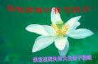 Published on 9/18/2005 ½󷨵ӹףʦڿ֣