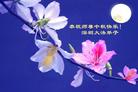Published on 9/18/2005 ½󷨵ӹףʦڿ֣