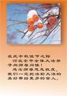 Published on 9/18/2005 ½󷨵ӹףʦڿ֣