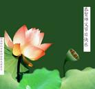 Published on 9/18/2005 ½󷨵ӹףʦڿ֣