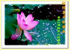 Published on 9/18/2005 ½󷨵ӹףʦڿ֣