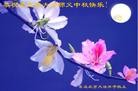 Published on 9/19/2005 ֹ,½󷨵ӹףʦڿ֣ģ