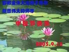 Published on 9/19/2005 ֹ,½󷨵ӹףʦڿ֣ģ