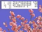 Published on 9/19/2005 ֹ,½󷨵ӹףʦڿ֣ģ