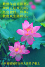 Published on 1/1/2006 ½ϱ󷨵ӹףȱΰʦã