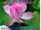 Published on 1/1/2006 ½ϱ󷨵ӹףȱΰʦãģ