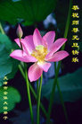Published on 1/1/2006 ½ϱ󷨵ӹףȱΰʦã