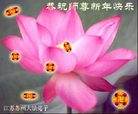 Published on 1/2/2006 ½ϱ󷨵ӹףȱΰʦã壩