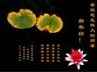 Published on 1/2/2006 ½ϱ󷨵ӹףȱΰʦã